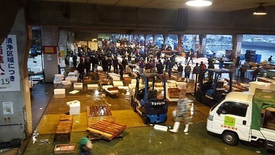 kakou20160106_02.jpg